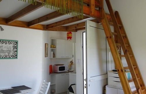 Saint-Pierre De La Reunion Apartment | studio Alamanda et son jardinet au soleil réunionnais