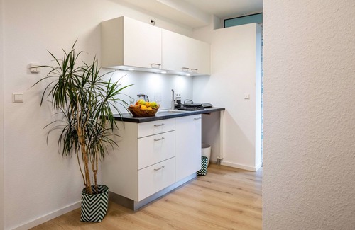 Bad Krozingen Apartment | Studio Apartment 'Feldberg' with Balcony and Wi-Fi