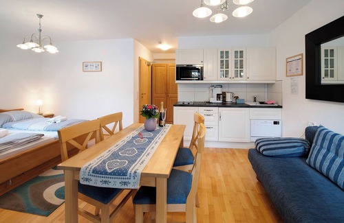 Filzmoos Apartment | Studio Apartment "Haus Lowe Erdgeschoss Nr. 1" with Mountain View & Terrace