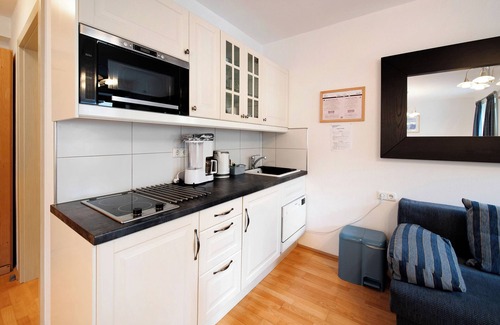 Filzmoos Apartment | Studio Apartment "Haus Lowe Erdgeschoss Nr. 1" with Mountain View & Terrace