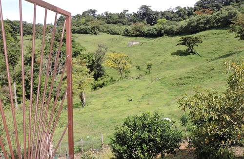 Monteverde Apartment | Studio/ Apt. Monteverde Cloud Forest With Private Balcony - Canopy View