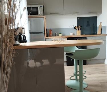 Tremuson Apartment | Studio au calme avec jardin