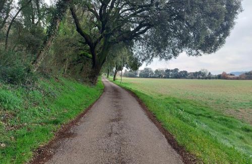 Les Mees Apartment | Studio au calme les hirondelles