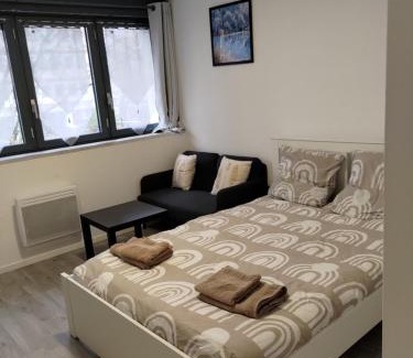 Part Dieu - Bir Hakeim Apartment | Studio au centre de la Part Dieu