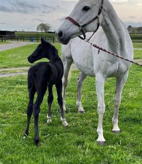 Durtal Apartment | Studio au Haras