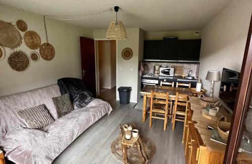 Correncon-en-Vercors Apartment | Studio au pied des pistes avec balcon, parking et proche randonnées - 38250 Corrençon-en-Vercors - FR-1-515-202