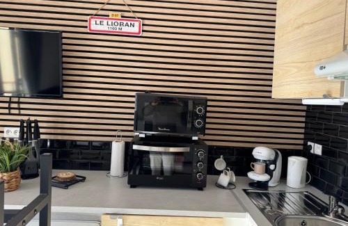 Laveissiere Apartment | Studio au pied des pistes avec accès privé par son balcon