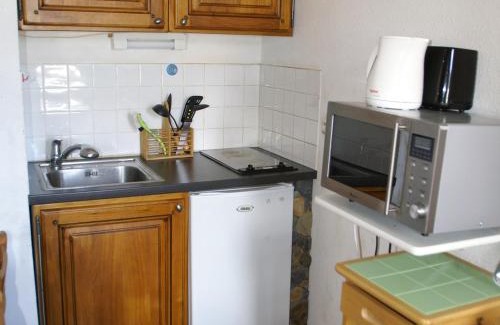 Prapoutel Apartment | Studio au pied des pistes avec balcon et cuisine équipée - FR-1-557-94