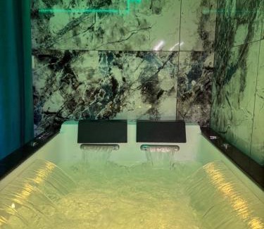 Saintry-sur-Seine Apartment | Studio avec jaccuzzi