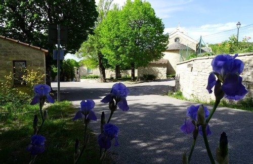 Fontienne Apartment | Studio Avec Terrasse Très Lumineux