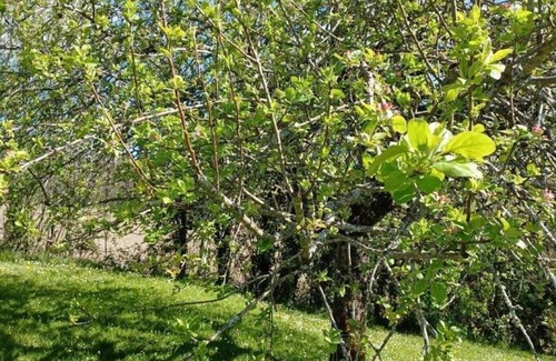 Bertric-Buree Apartment | Studio Bertric-Burée, studio flat, 2 persons