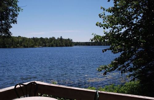 Nevis Cabin | Studio Cabin Hidden in Towering Pines within 10 feet of lake. Pets accepted!
