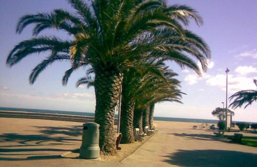 Plage d'Argeles Apartment | Studio Cabin Port Argelès sur mer 3mn beach any comfort with carpark