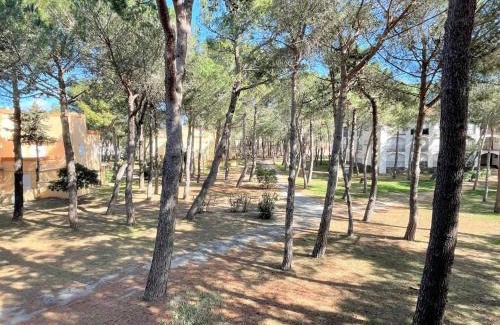 Argeles-sur-Mer Apartment | Studio cabine à 200m de la plage, animaux admis, proche commerces - FR-1-225-687