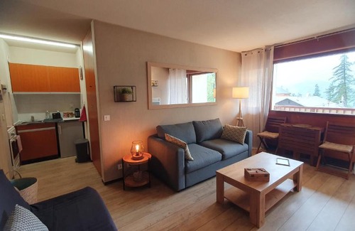 Valberg Apartment | STUDIO CENTRE ET PIED DES PISTES