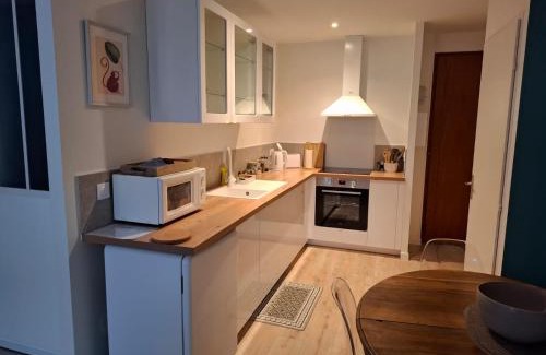 Macon Apartment | Studio centre Macon place aux herbes