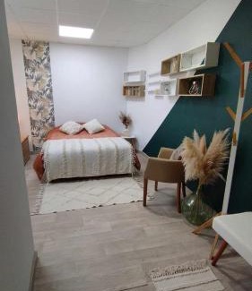 Chazelles-sur-Lyon Bed & Breakfast | Studio Chambre double RDC