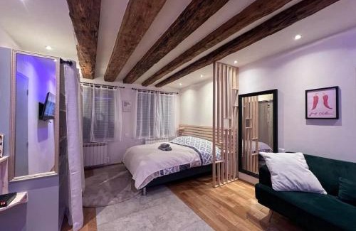 Huningue Apartment | Studio Charme Huningue Abbatucci