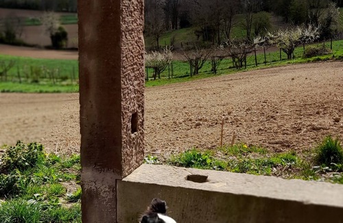 Mittelhausbergen Apartment | Studio Chez Flo