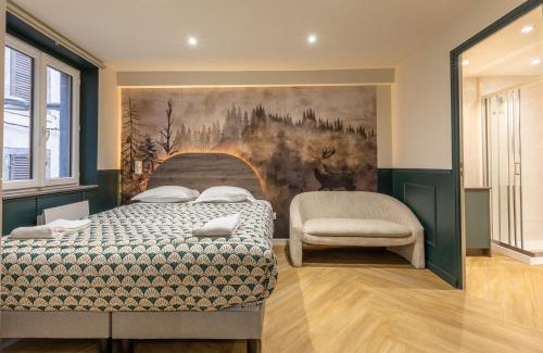 Clermont Ferrand City Centre Apartment | Studio Chic & Spacieux Hyper-Centre Clermont A