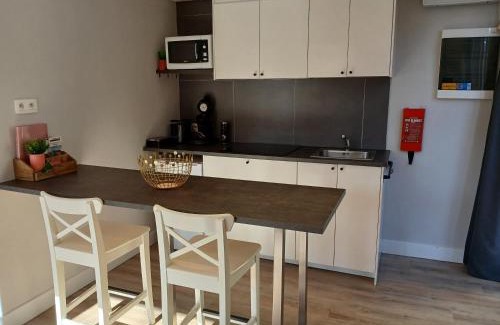 Vielsalm Apartment | Studio "Coeur du Lac"