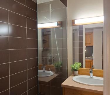 Laveissiere Apartment | Studio Confortable - Lit Queen - Parking - Le Lioran