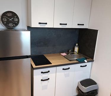 Roubaix Apartment | Studio confortable style