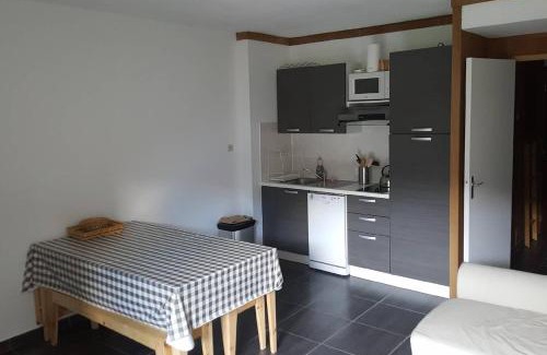 Saint-Etienne-de-Tinee Apartment | Studio Constellations d'Auron