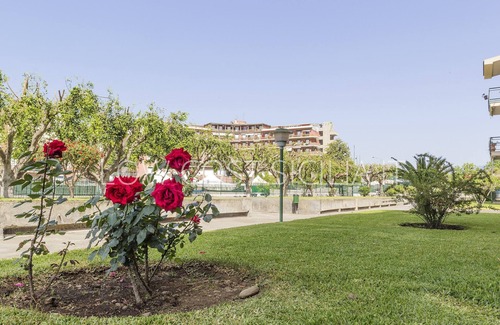 Porticato Apartment | STUDIO CORAL VIEW - apartment with sea view