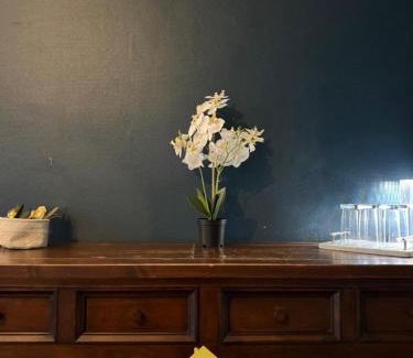 Bar-le-Duc Apartment | Studio Cosy & Élégant Quartier de la Rochelle