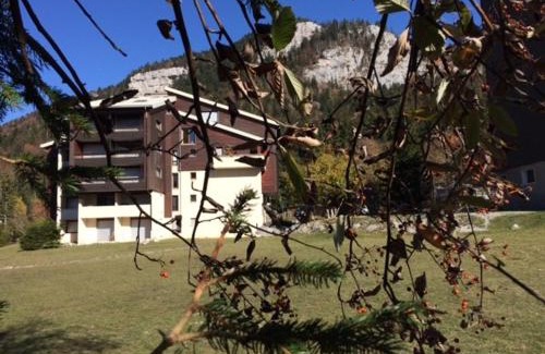 Correncon-en-Vercors Apartment | Studio cosy au pied des pistes, parfait pour famille, avec balcon, proche golf et randonnées - FR-1-515-99