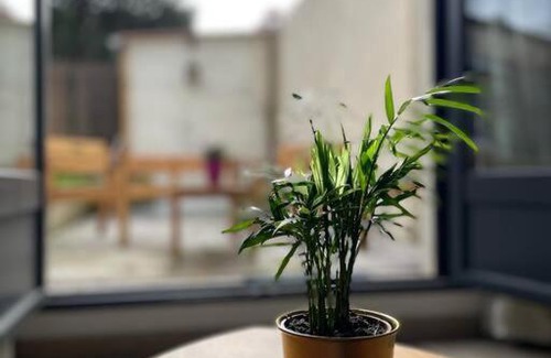 Porchefontaine Apartment | Studio Cosy Fleur de Lys