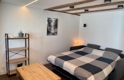 Ragon et la Malnoue Apartment | Studio de charme proche Nantes & aéroport au calme