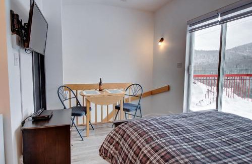 Notre-Dame-Auxiliatrice-de-Buckland Hotel | Studio de Ski 64-2 - Studio Mont du Midi
