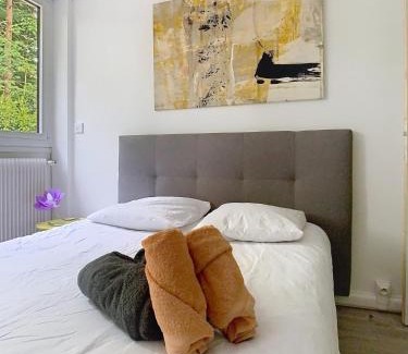 Vaux-le-Penil Apartment | Studio du château