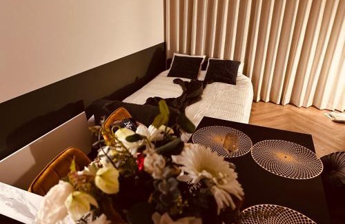 Sint-Idesbald Apartment | Studio Duinenzicht