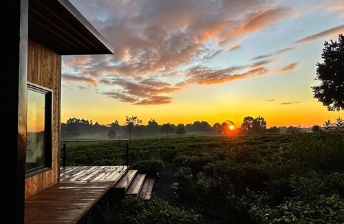 Limuru Ski Chalet | Studio Dwelling