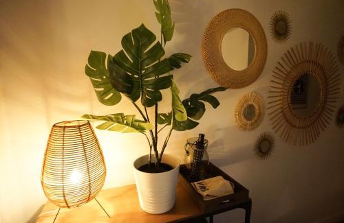 Anatole France Danton Apartment | Studio "En Coeur de Ville" - Proche Mairie et Quartier Perret - Calme et Charmant