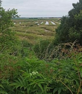 Jard-sur-Mer Apartment | Studio entre mer & forêt