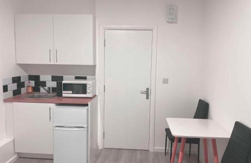 Tottenham Green Apartment | Studio flat private bathroom wc and kitchenette