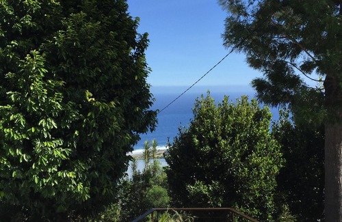Piton Saint-Leu Apartment | Studio "Fleur de Canne": independent quiet very comfortable garden sea view