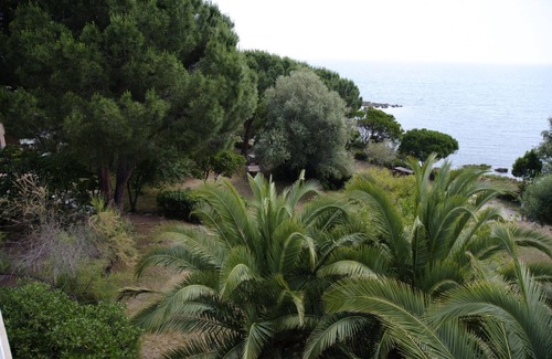 Favone Apartment | Studio for 2 people, 1st floor sea view, with direct access to the beach