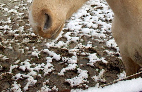 Fronton Apartment | Studio