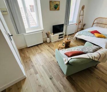 Luxeuil-les-Bains Apartment | Studio Girafe, style bohème et atypique, Curistes