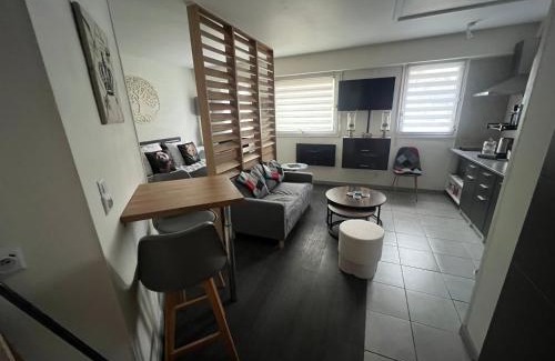 Marcq-en-Baroeul Apartment | Studio haut de gamme