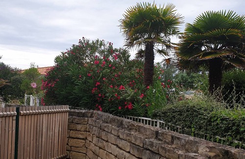 La Couarde-sur-Mer Apartment | Studio In Residence With Pool And Parking