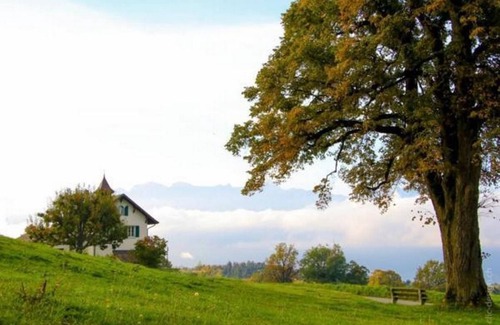Chardonne Other | Studio in the farm (3 pers.)