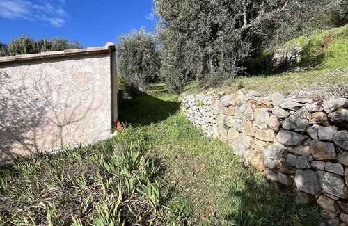 Claviers Apartment | Studio Indépendant au Cœur Dune Oliveraie. Situé au Pied du Village de Claviers