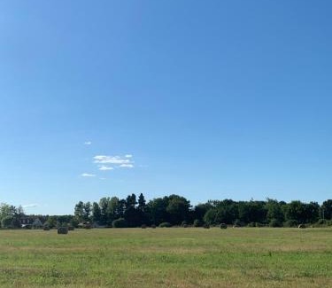 Spay House | Studio indépendant