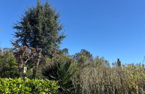 Barbotan-les-Thermes Apartment | Studio jardin RDC 900 m des Thermes!